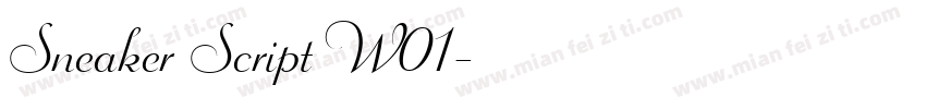 Sneaker Script W01字体转换
